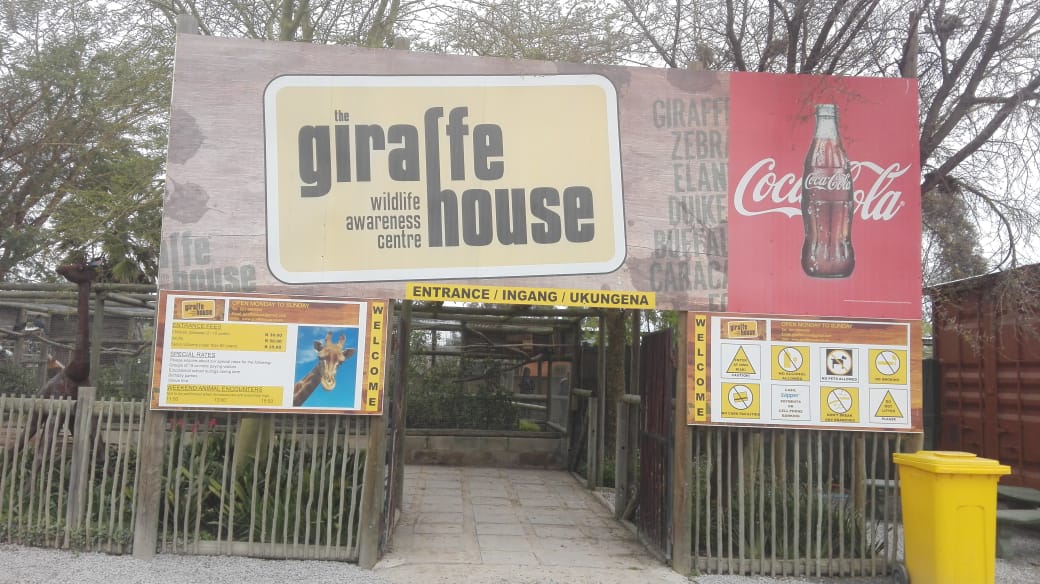 Emilys Kinder machen einen Ausflug in den Giraffenpark